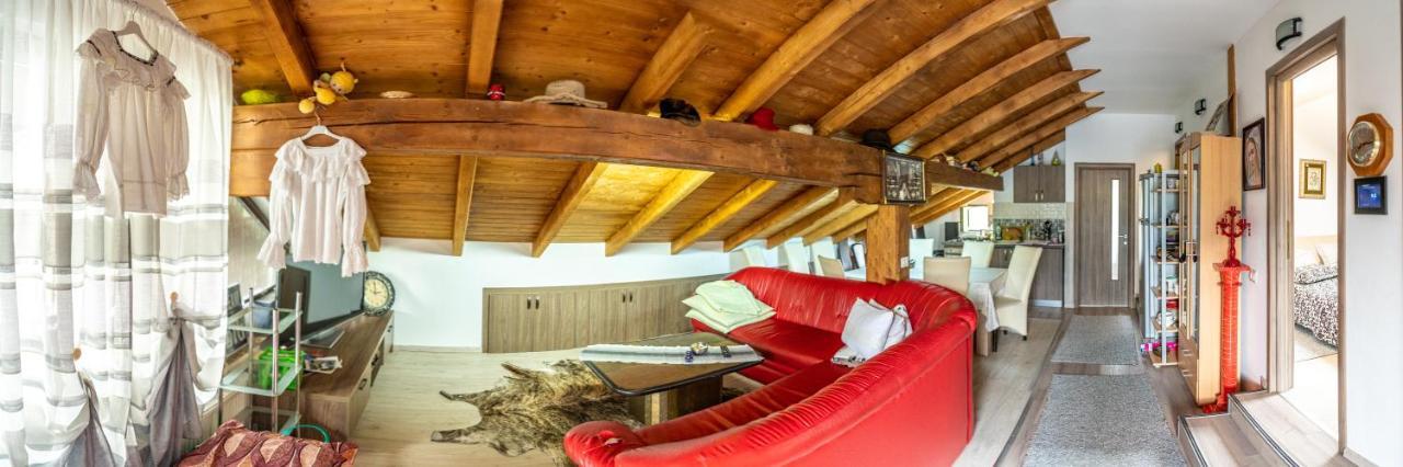 Cabana Rustic Borşa Eksteriør bilde