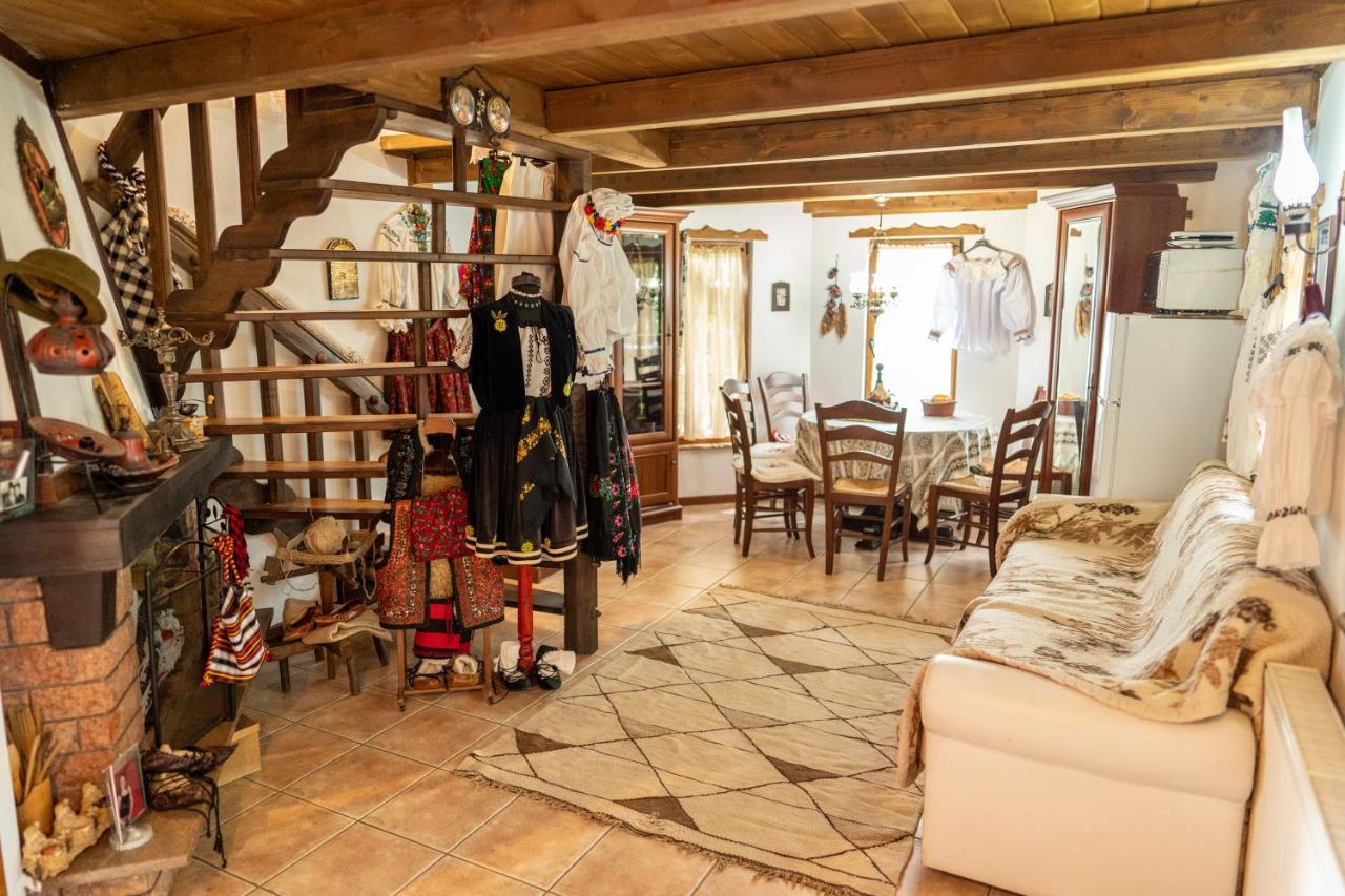 Cabana Rustic Borşa Eksteriør bilde