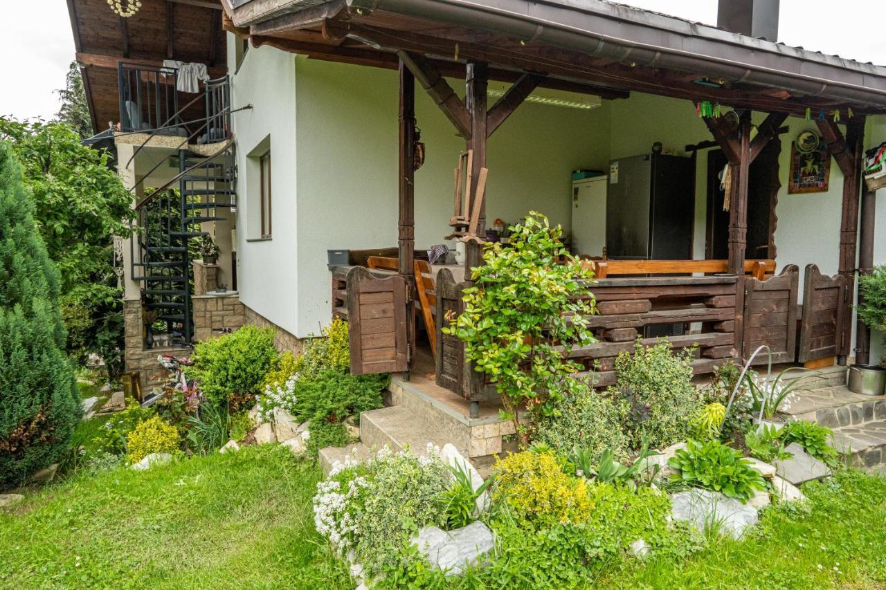 Cabana Rustic Borşa Eksteriør bilde