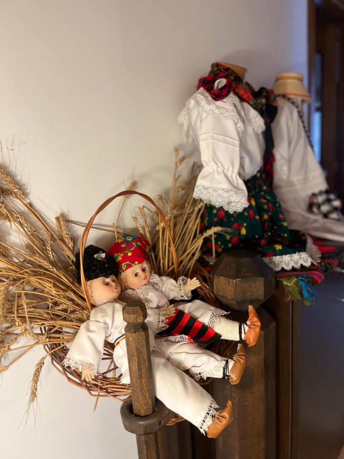 Cabana Rustic Borşa Rom bilde