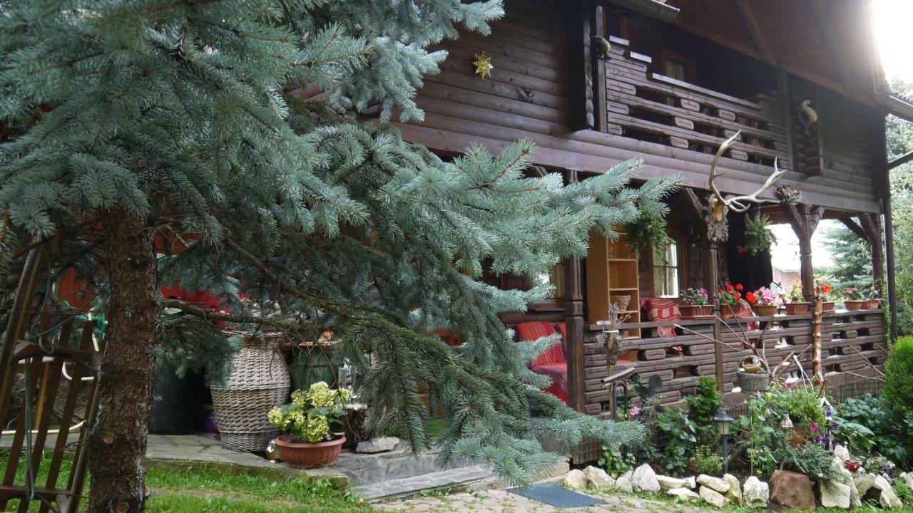 Cabana Rustic Borşa Eksteriør bilde