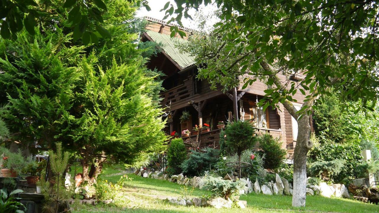 Cabana Rustic Borşa Eksteriør bilde
