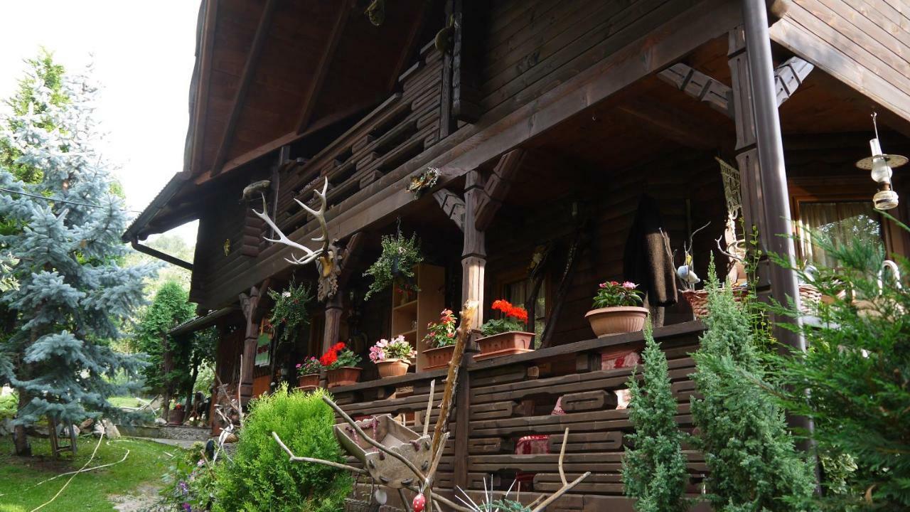 Cabana Rustic Borşa Eksteriør bilde
