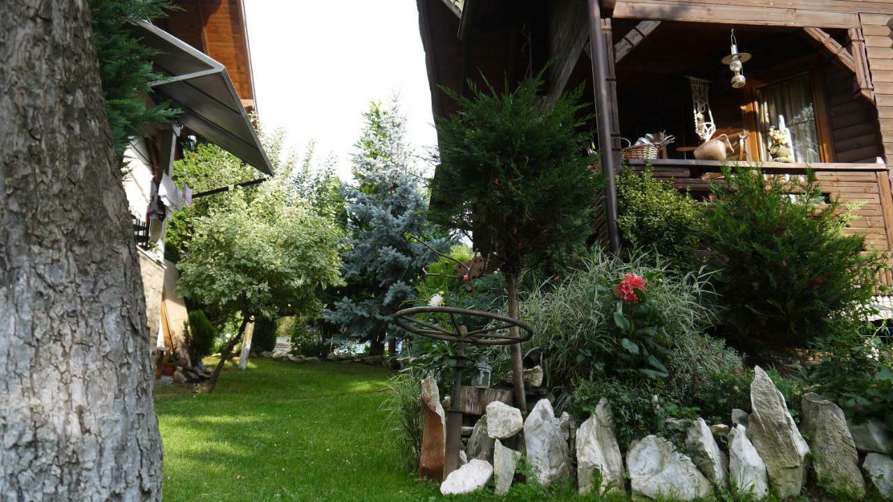 Cabana Rustic Borşa Eksteriør bilde